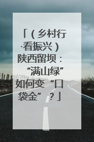 （乡村行·看振兴）陕西留坝：“满山绿”如何变“口袋金”？